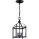 Larkin 2 Light 8 inch Black Indoor Lantern Pendants Ceiling Light