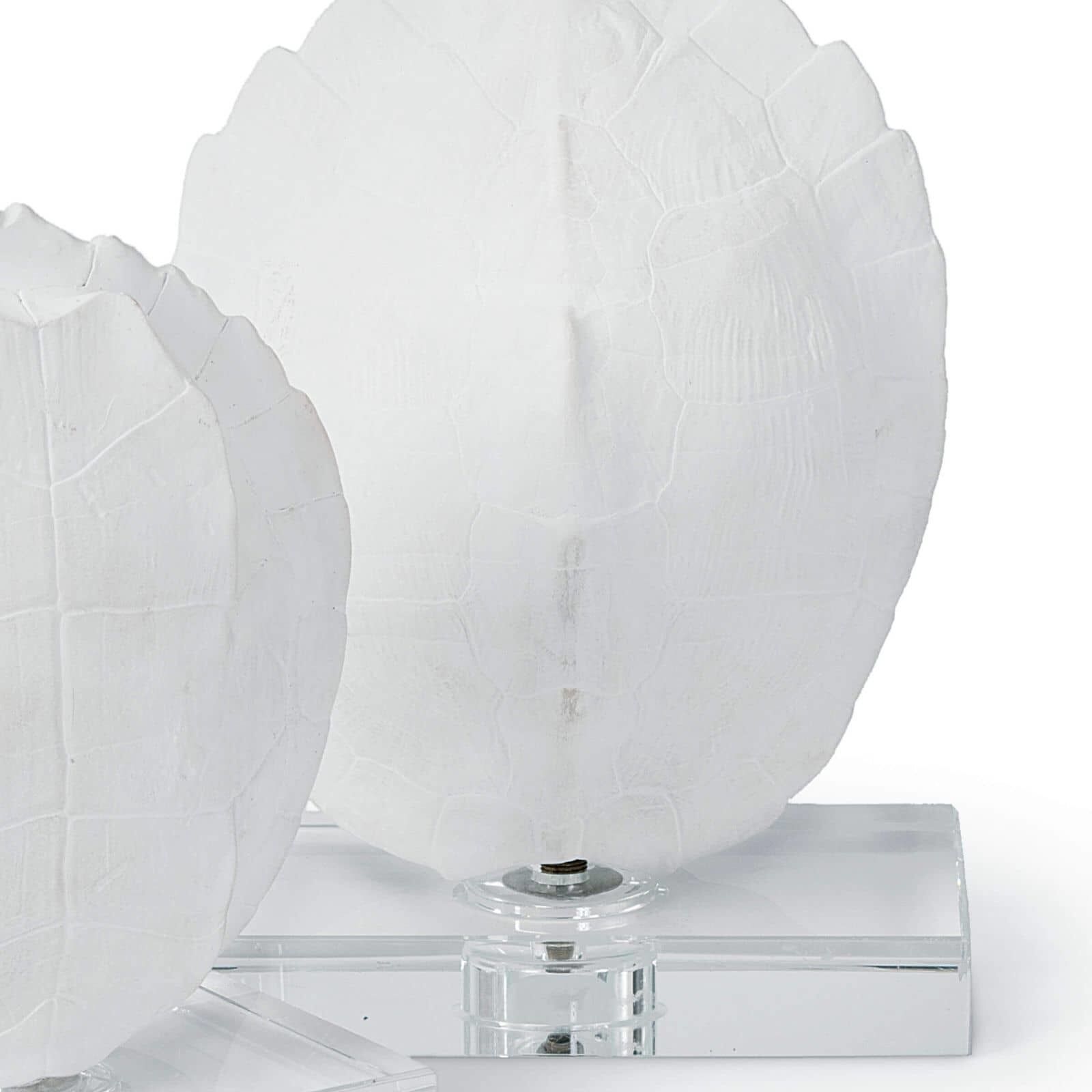 Turle Shells Natural Objet, On Crystal