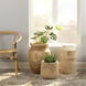 Brea 13.5 X 12 inch Wooden Vase