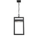 Luttrel LED 10.5 inch Black Outdoor Chain Mount Ceiling Fixture