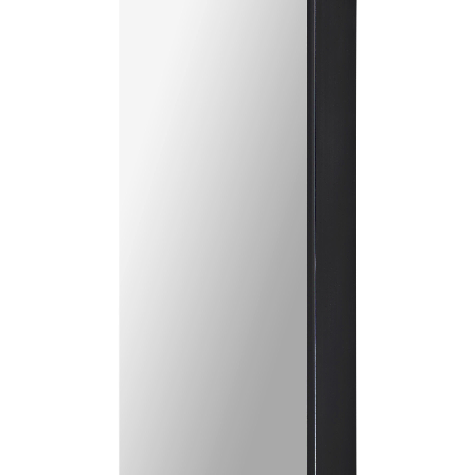 Ammar 60 X 24 inch Matte Black and Clear Mirror