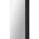 Ammar 60 X 24 inch Matte Black and Clear Mirror