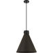 Newton Cone 1 Light 16 inch Matte Black Pendant Ceiling Light
