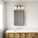 Dressler Vanity Light Wall Light in Brushed Nickel