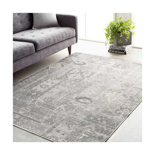 Amadeo 87 X 63 inch Silver Gray/Medium Gray/Ivory Rugs, Polypropylene and Polyester