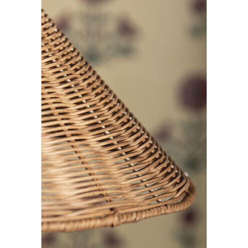 Davida 1 Light 20 inch Aged Brass Pendant Ceiling Light