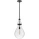 Eloise 1 Light 11 inch Black Pendant Ceiling Light