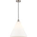 Edison Cone LED 16 inch Brushed Satin Nickel Pendant Ceiling Light in Matte White Glass