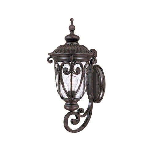 Naples 1 Light 9.38 inch Outdoor Wall Light