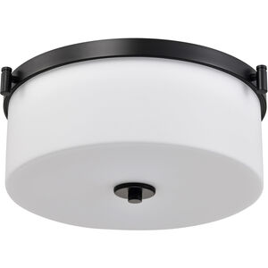 Liam 16.63 inch Matte Black Flush Mount Ceiling Light