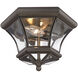 Monterey/Georgetown 2 Light 11 inch Bronze Outdoor Ceiling Mount