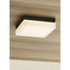 Sean Lavin Boxie LED 2.5 inch Charcoal Outdoor Wall/Flush Mount in LED 90 CRI 3000K 120V, Integrated LED