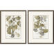 Gingko Accent Green and Gray and Blue and Brown Framed Art, Propac
