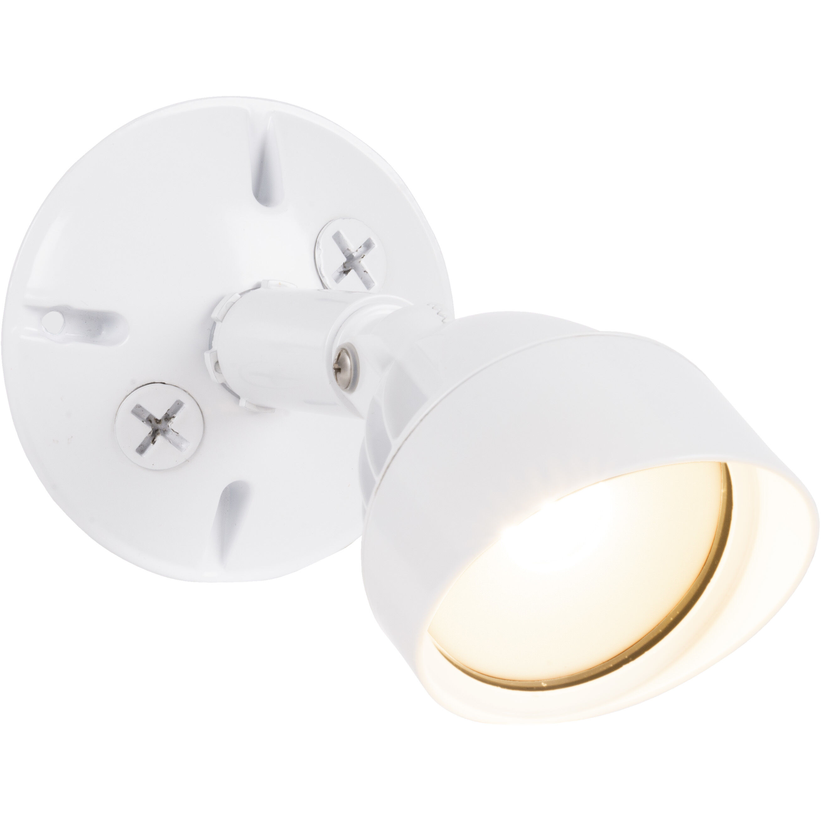 Bejamin LED White Outdoor Flood