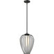 Savanti 1 Light 12 inch Matte Black Pendant Ceiling Light