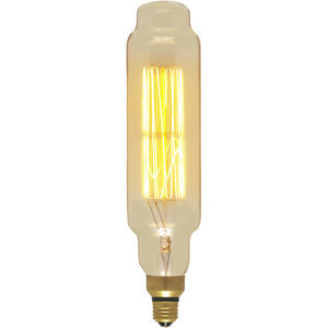 Lumos Incandescent T24 Medium E26 60 watt 120V 2200K Light Bulb