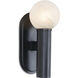 Dion 1 Light 12.5 inch Black Outdoor Sconce
