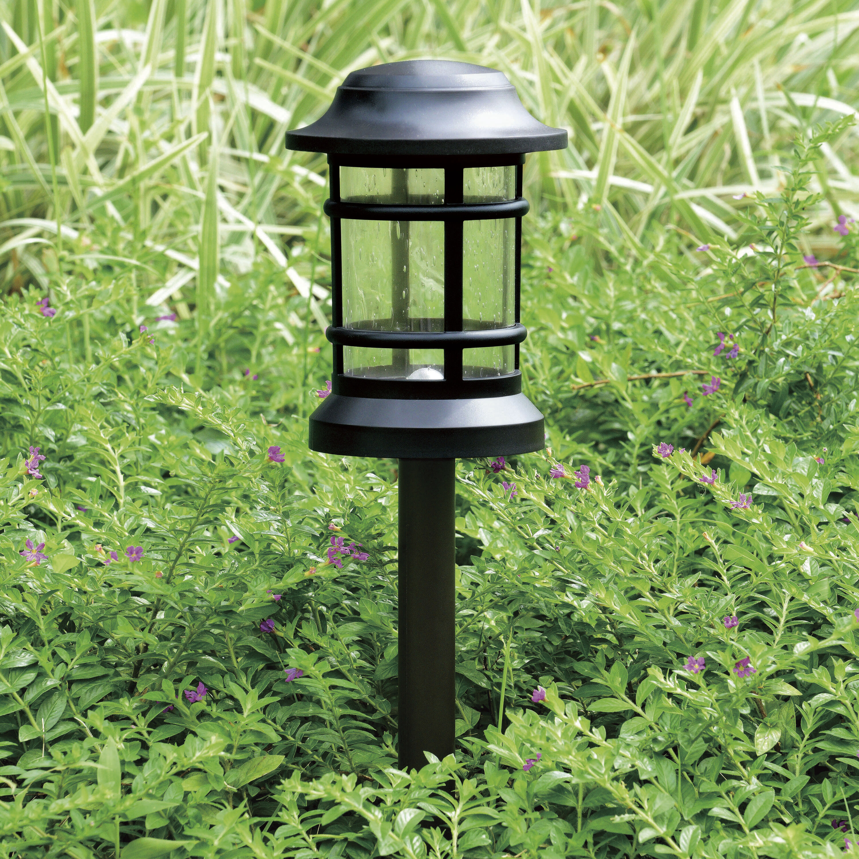 Westmont 12 1.70 watt Black Outdoor Landscape