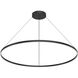 Cerchio Pendant Ceiling Light in Black
