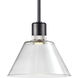 Zigrina 1 Light 11.75 inch Satin Brushed Black with Polished Nickel Pendant Ceiling Light