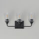 Hudson 3 Light 20.5 inch Black Bath Vanity Wall Light in Clear