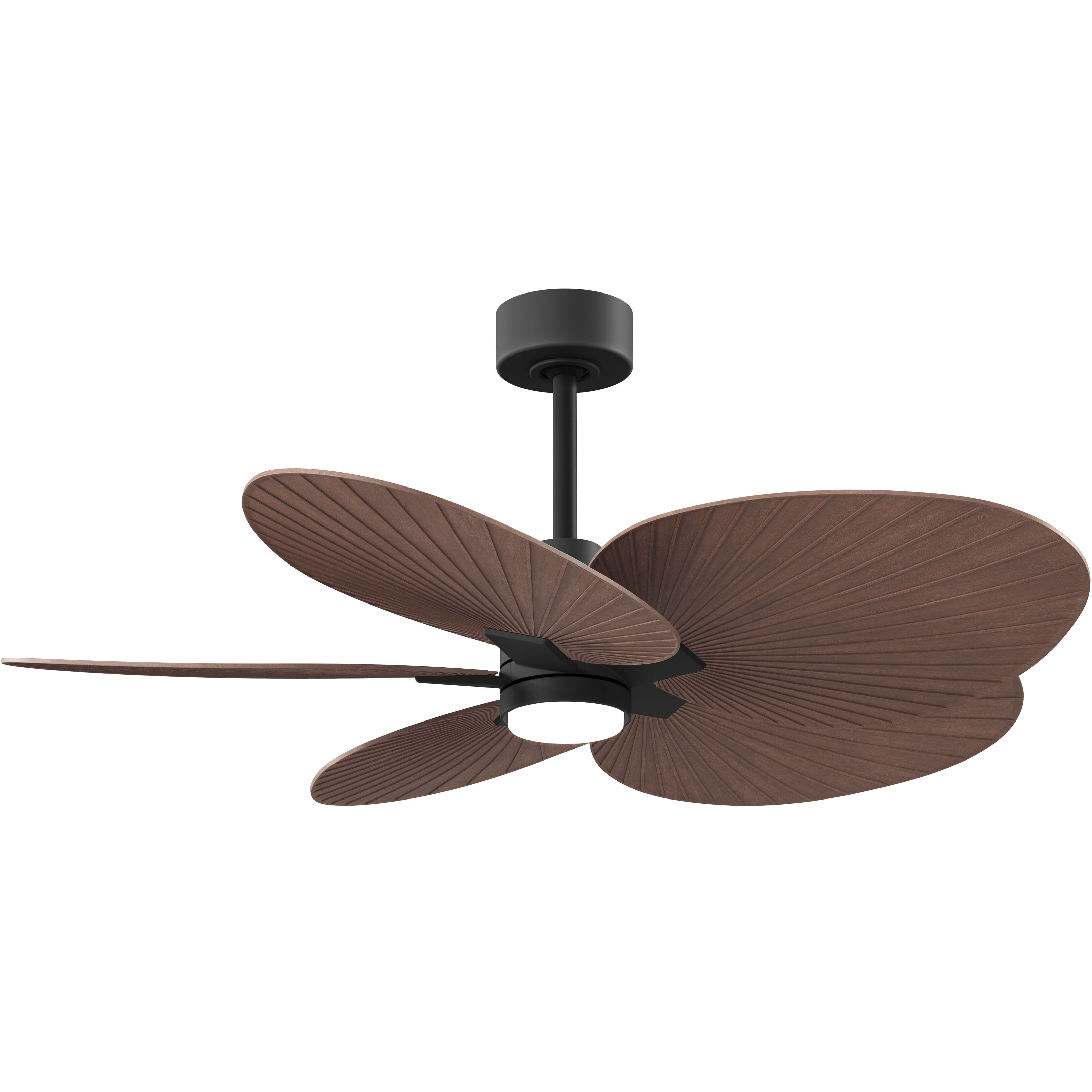 Atlas Alessandra Tropical - LK 48 inch Matte Black with Walnut Tone Blades Ceiling Fan