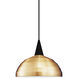 Cosmopolitan 1 Light 12 inch Black Pendant Ceiling Light in 100, Copper, J Track
