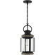 Parker 1 Light 8.5 inch Lodge Outdoor Hanging Lantern