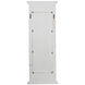 Anita 59.1 X 21.5 inch Distressed White Mirror