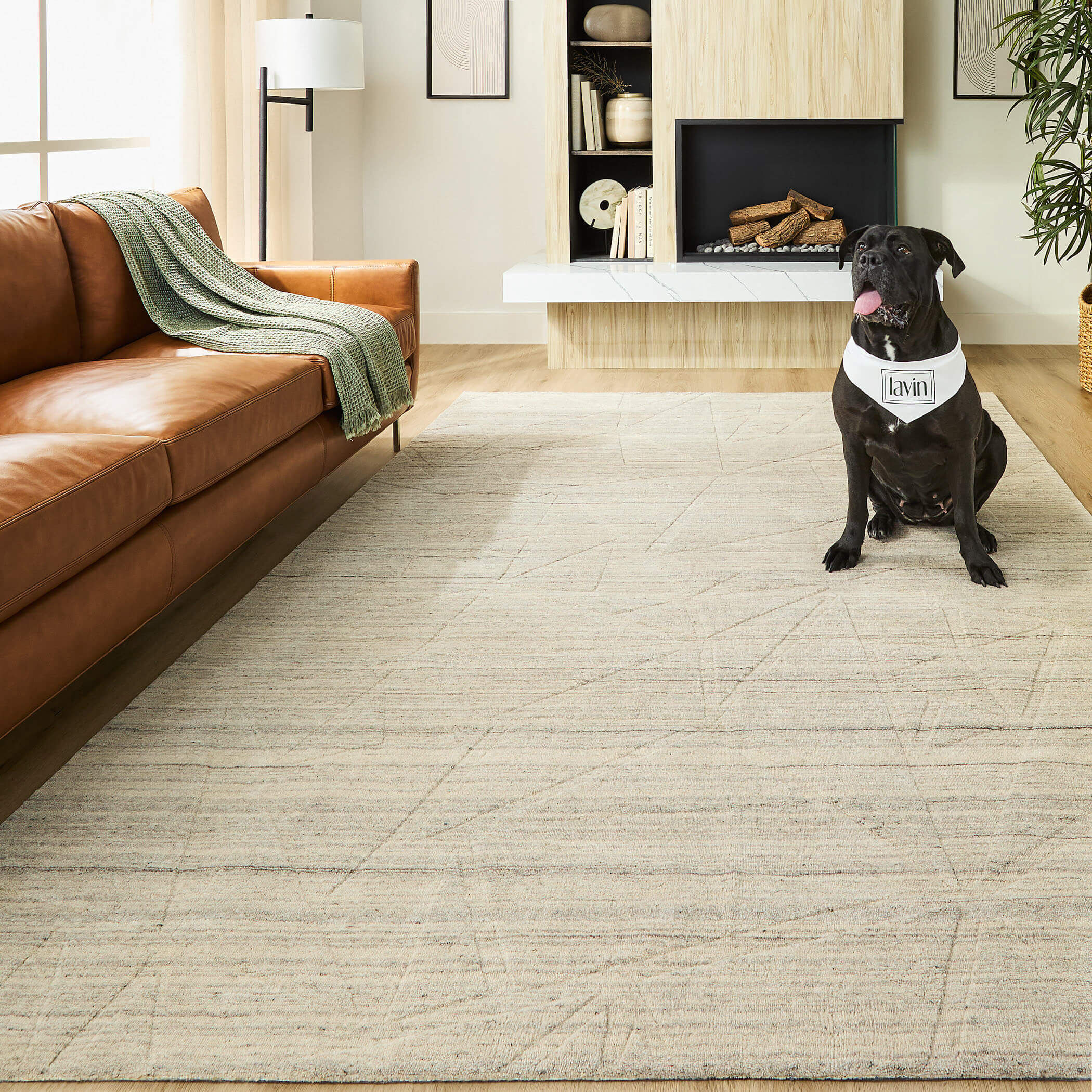 Kirti 36 X 24 inch Light Grey Rug in 2 x 3