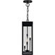 Windsor 4 Light 8 inch Black Outdoor Hanging Light