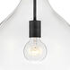 Ziggy 1 Light 12 inch Black Indoor Pendant Ceiling Light in Clear