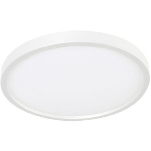 Edge Round 1 Light 12.00 inch Flush Mount
