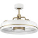 Taylor 20 inch White/Satin Brass with Clear Acrylic Blades Ceiling Fan (Blades Included)