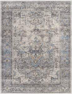 Chicago 187 X 143 inch Taupe Rug, Rectangle