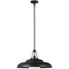 Palmetto Pendant Ceiling Light in Urban Bronze