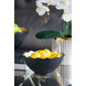 Anita 10 X 5 inch Bowl, Set of 2