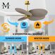 Atlas Alessandra TROPICAL 48 inch Brushed Brass with Gray Ash Tone Blades Ceiling Fan