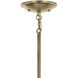 Shailene 9 Light Natural Brass Chandelier Ceiling Light