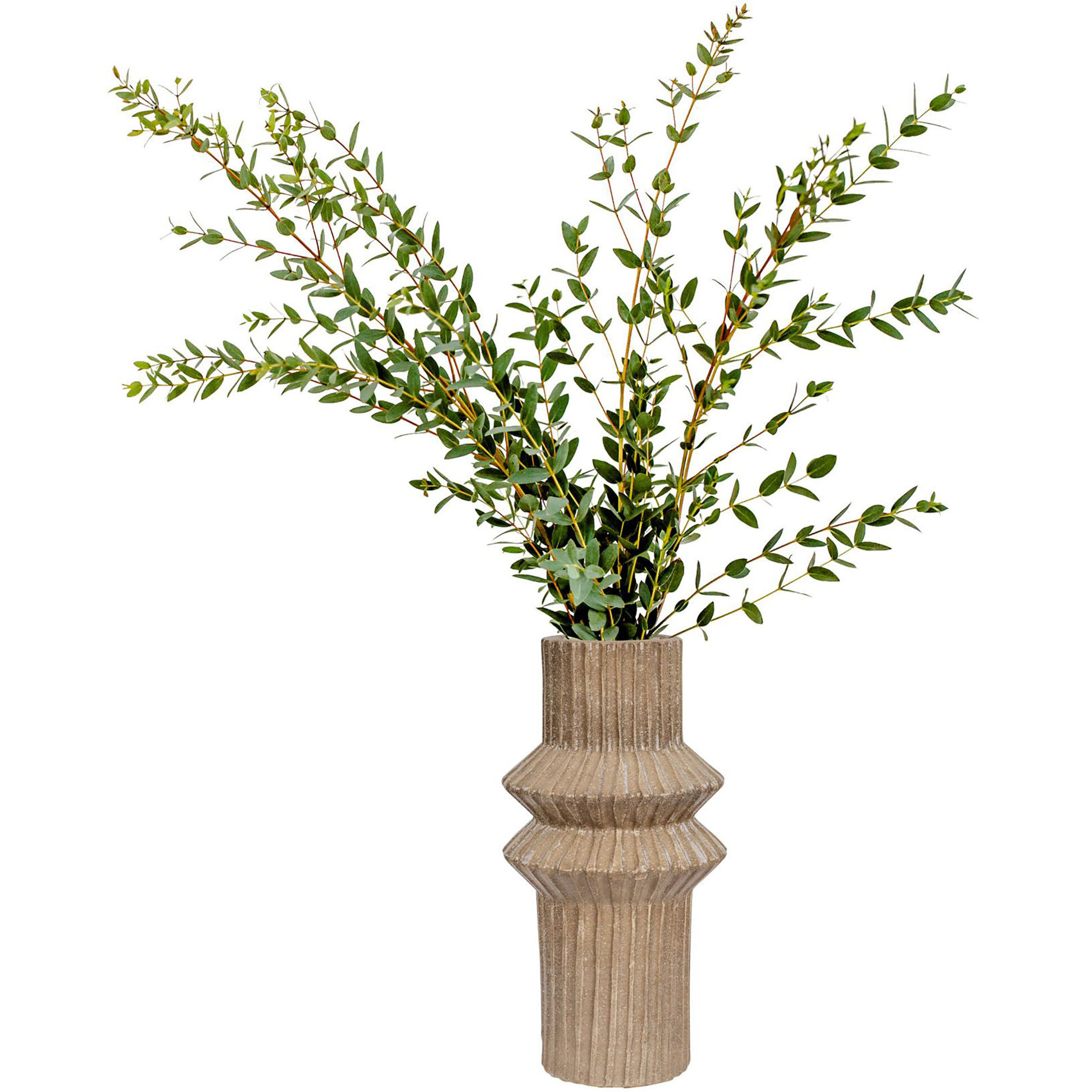 Primea 12 inch Vase