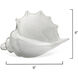Triton White Blown Glass Shell