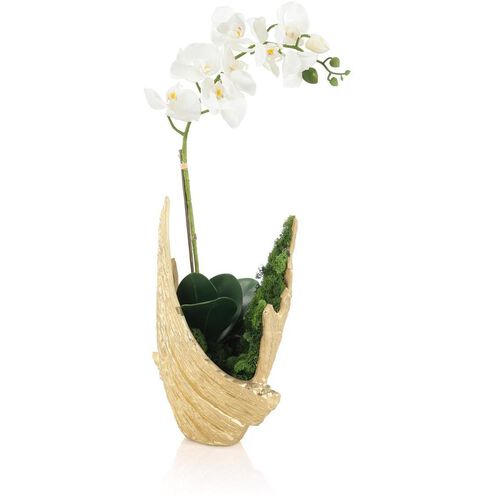 Organic Mossy Orchid Botanical, Botanical/Floral