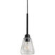Arctic 1 Light 5 inch Acid Dipped Black with Clear Pendant Ceiling Light