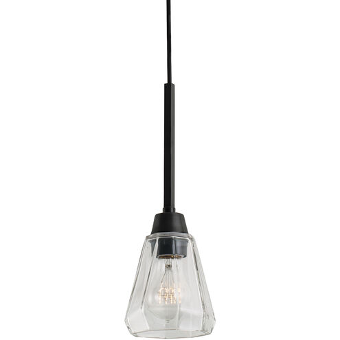 Arctic 1 Light 5 inch Acid Dipped Black with Clear Pendant Ceiling Light