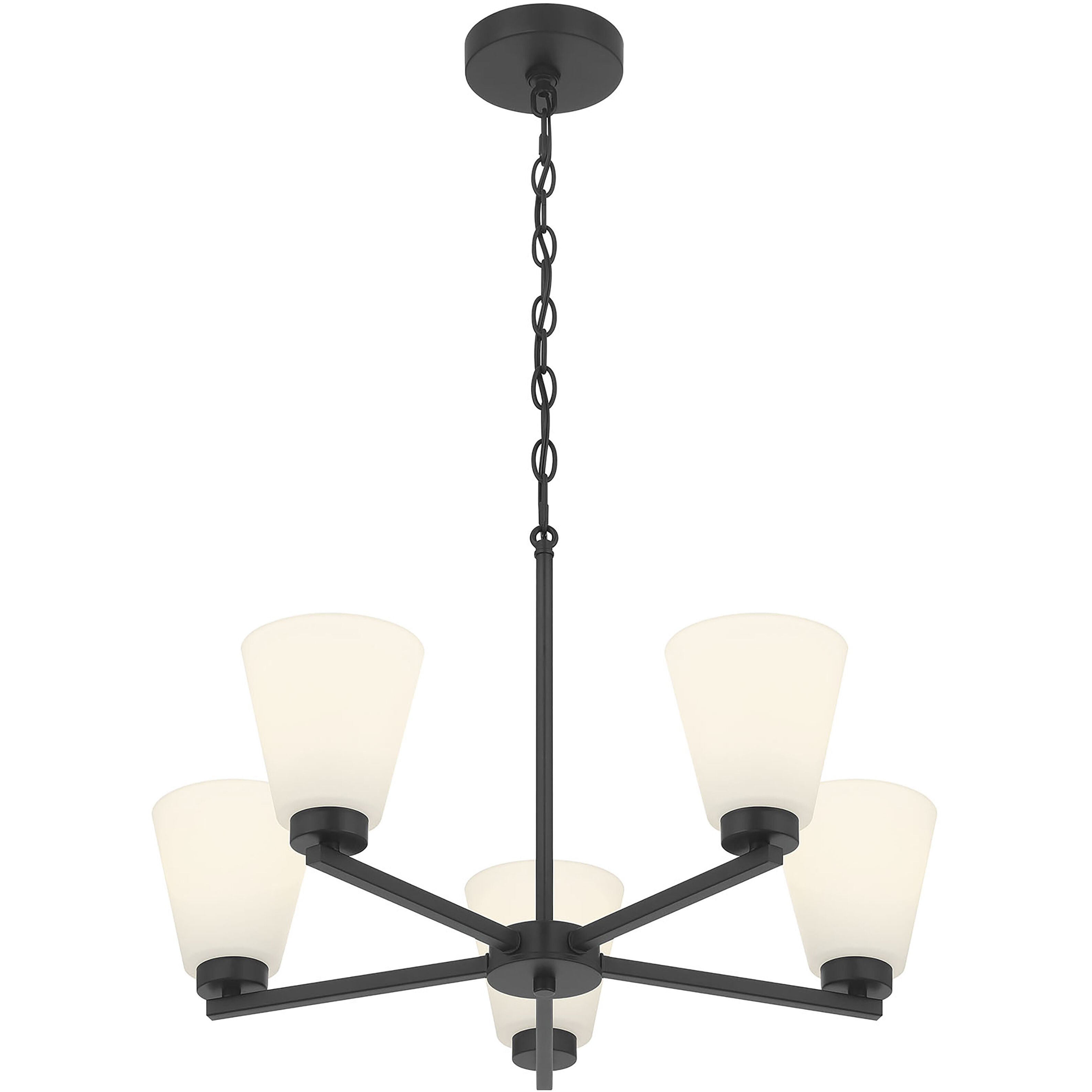 Strayhan 5 Light 24 inch Matte Black Chandelier Ceiling Light