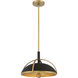 Yorkshire 2 Light 14 inch Dark Matte Black and Legacy Brass Pendant Ceiling Light