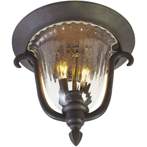 Santa Barbara Outdoor 2 Light 11.5 inch Burnished Bronze Flush Mount Ceiling Light