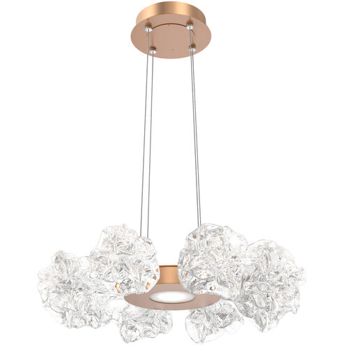 Blossom LED 23.9 inch Novel Brass Chandelier Ceiling Light in 2700K LED, Radial Ring
