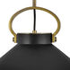 Crew 1 Light 16 inch Heritage Brass with Black Indoor Chandelier Ceiling Light