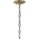 Delarosa 1 Light Greige and Champagne Bronze Pendant Ceiling Light